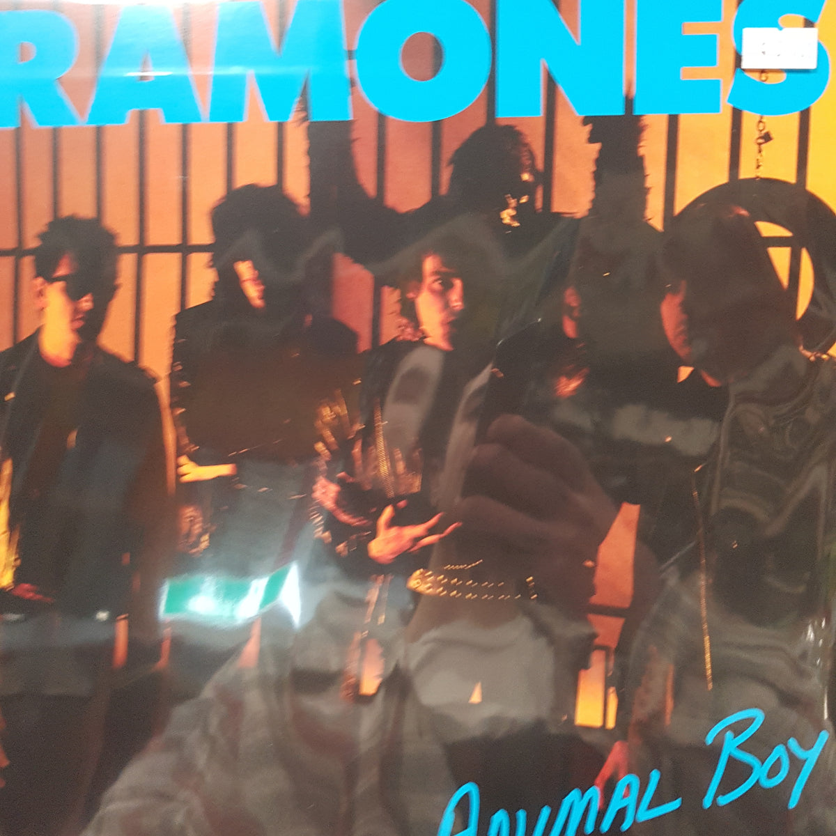 RAMONES - ANIMAL BOY VINYL – GrevilleRecords