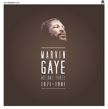 Load image into Gallery viewer, MARVIN GAYE - VOLUME THREE 1971-1981 (7LP) BOX SET VINYL