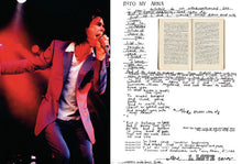 Load image into Gallery viewer, SOPHIE HOWARTH - PEACE LOVE & BROWN RICE: A PHOTOGRAPHIC HISTORY OF THE BIG DAY OUT BOOK