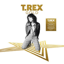 Load image into Gallery viewer, T-REX - GOLD (2LP) VINYL