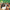 2.The Beach Boys - Pet Sounds