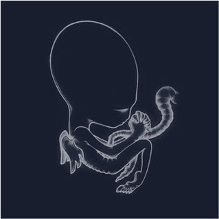8. Sigur Rós - Agaetis Byrjun