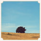 AMARILLO - GOLDEN MOUNTAIN VINYL