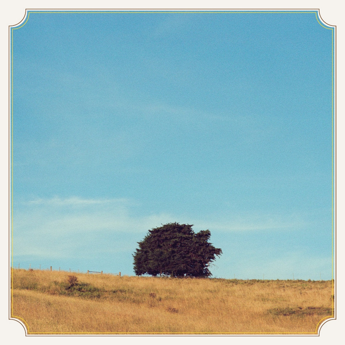 AMARILLO - GOLDEN MOUNTAIN VINYL