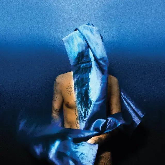 DEVENDRA BANHART - FLYING WIG VINYL