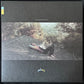 ROSTAM - LP2 : CHANGEPHOBIA (CLEAR COLOURED) (USED VINYL 2021 M-/M-)