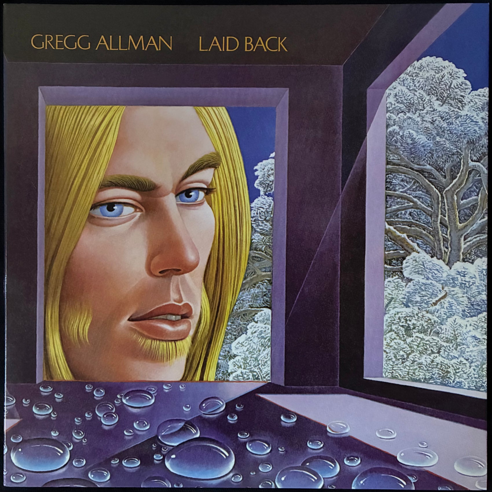 GREGG ALLMAN - LAID BACK (ANALOGUE PRODUCTION) (200GM) (USED VINYL 2015 US M-/M-)