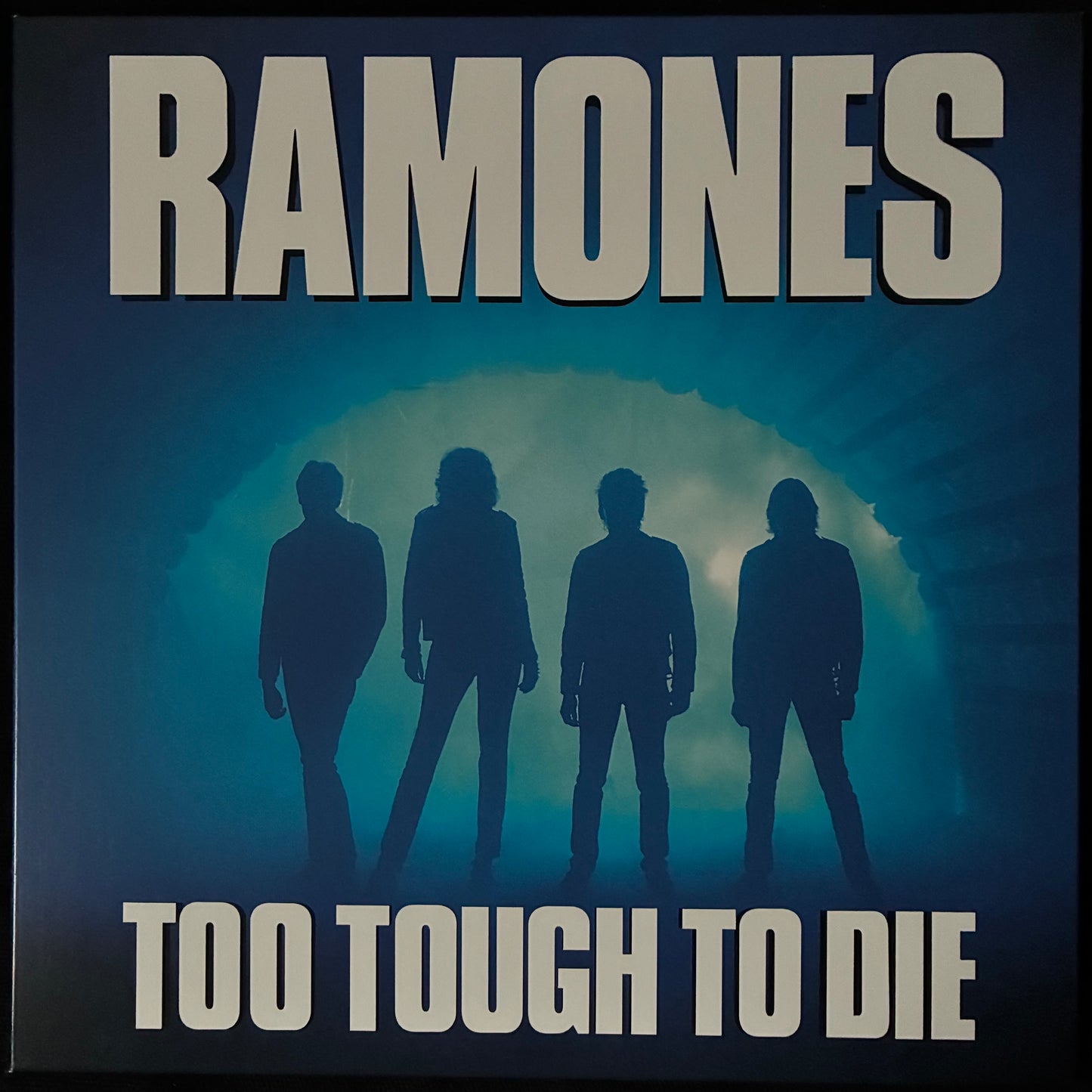 RAMONES - TOO TOUGH TO DIE (USED VINYL 2025 US M-/M-)