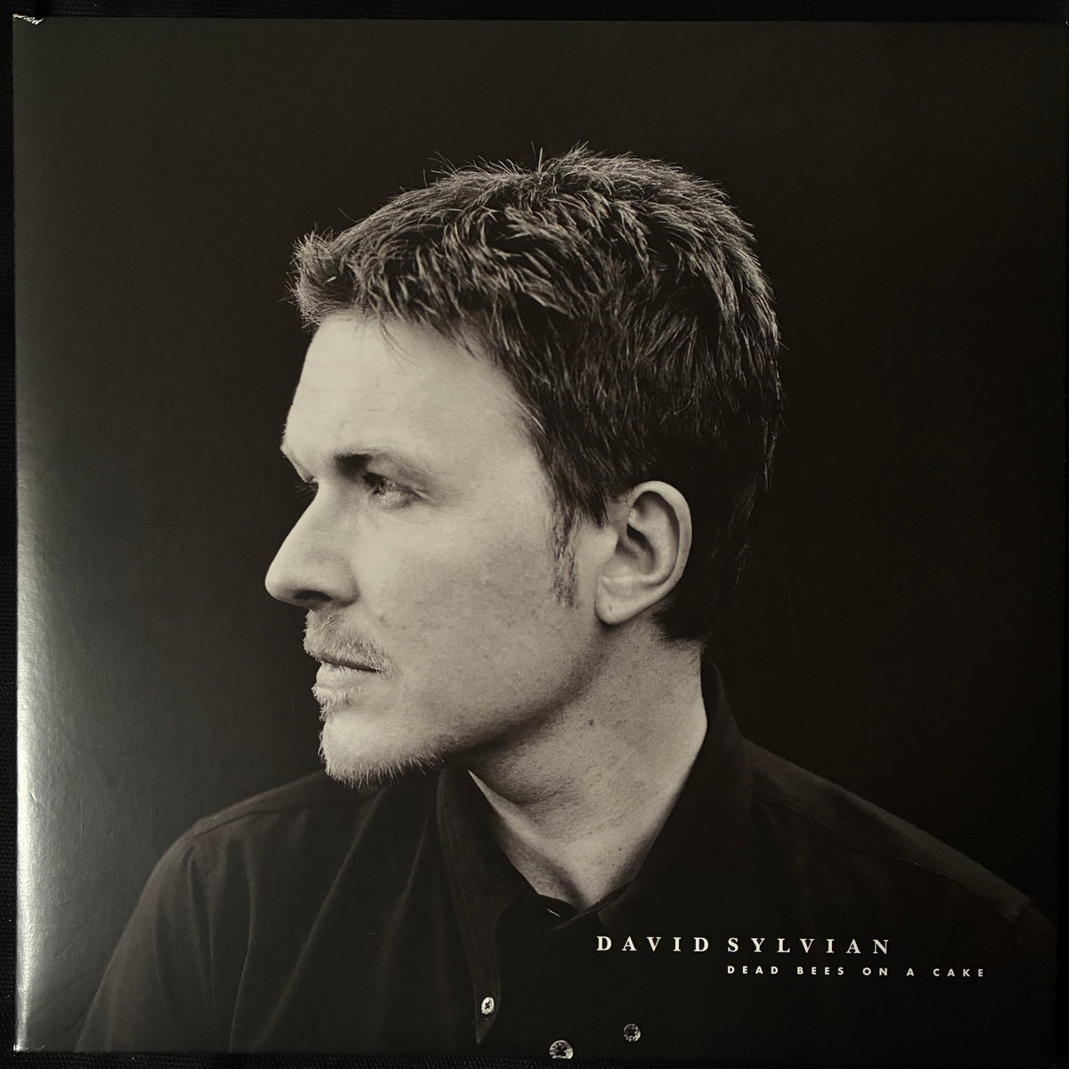 DAVID SYLVIAN - DEAD BEES ON A CAKE (2LP) (USED VINYL 2018 UK/EU M-/M-)