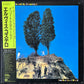 ELVIS COSTELLO AND THE ATTRACTIONS - GOODBYE CRUEL WORLD (USED VINYL 1984 JAPAN M-/EX+)