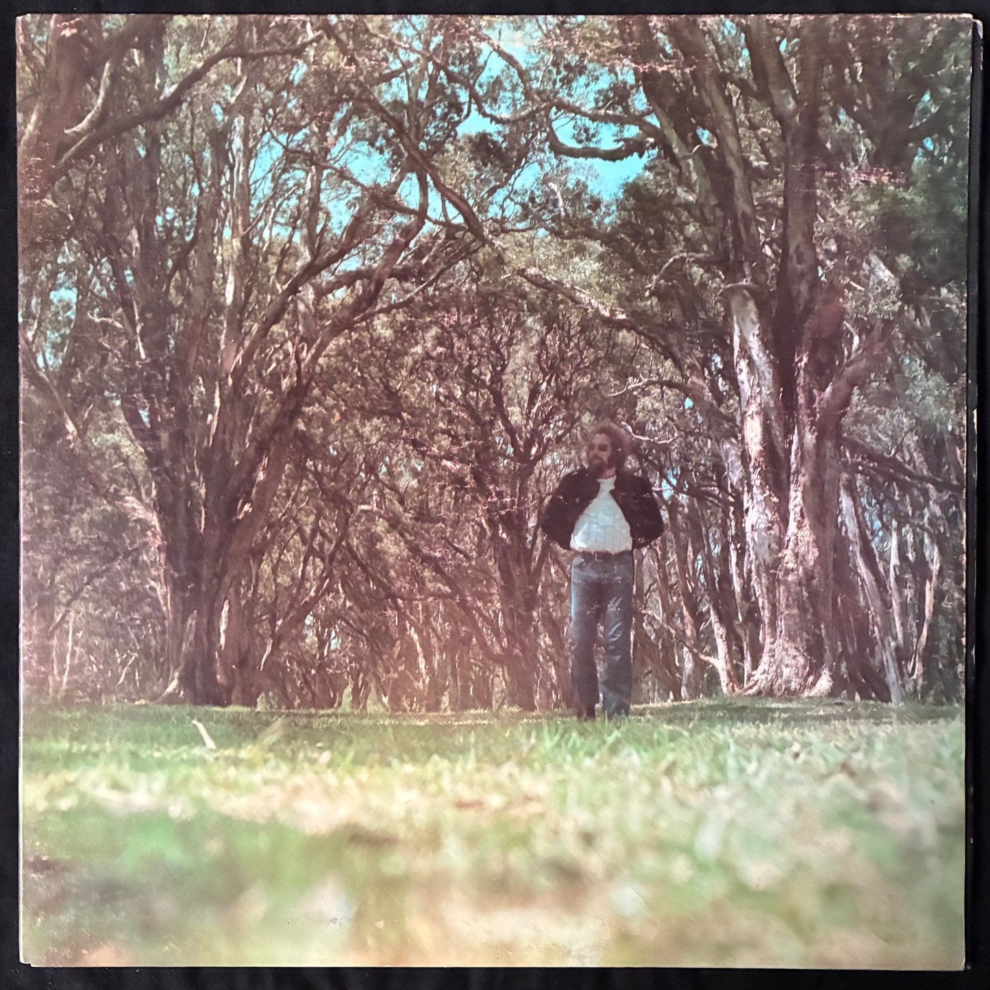 JOHN J. FRANCIS - BREAKS, WORKS & THOUGHTS (USED VINYL 1973 AUS EX+/EX-)