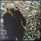 BOB DYLAN - HARD RAIN (USED VINYL 1976 AUS EX+/EX+)