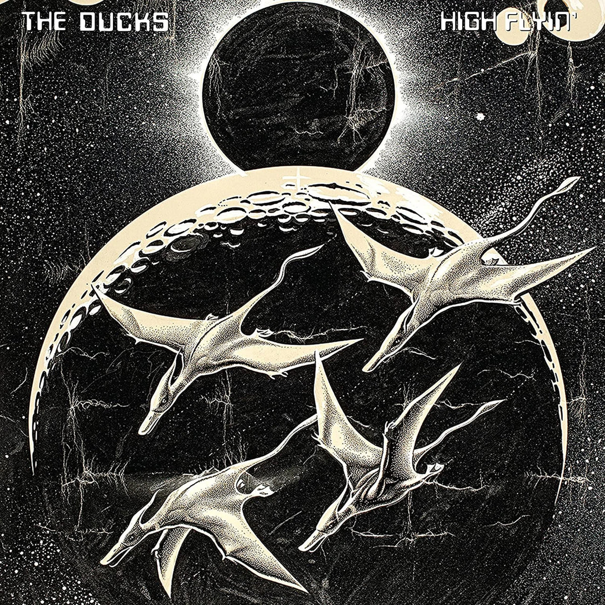 DUCKS - HIGH FLYIN (3LP) VINYL