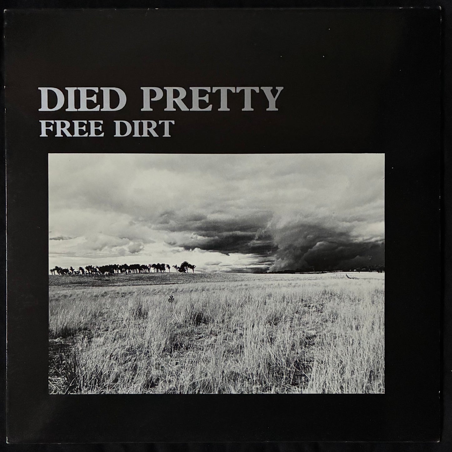 DIED PRETTY - FREE DIRT (USED VINYL 1986 FRANCE M-/EX+)