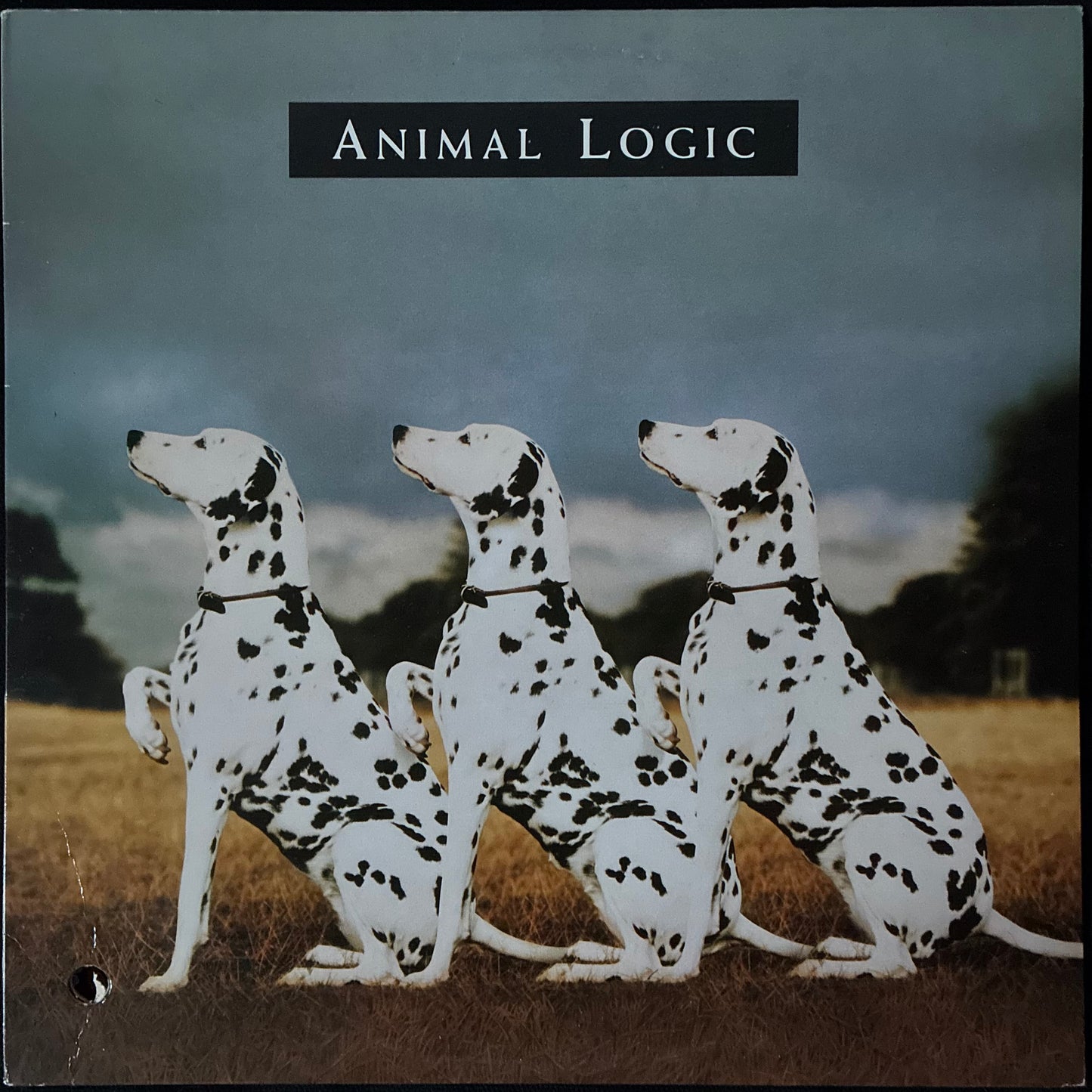ANIMAL LOGIC - ANIMAL LOGIC (USED VINYL 1989 CANADA M-/EX-)
