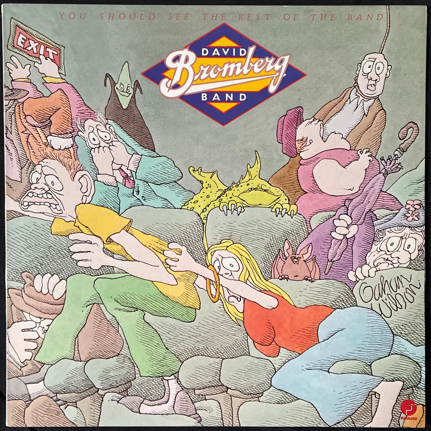 DAVID BROMBERG BAND - YOU SHOULD SEE THE REST OF THE BAND (USED VINYL 1980 AUS M-/M-)