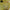 ED SHEERAN - - (YELLOW COLOURED) VINYL