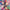 OTOBOKE BEAVER - SUPER CHAMPION (STARBURST COLOURED) VINYL