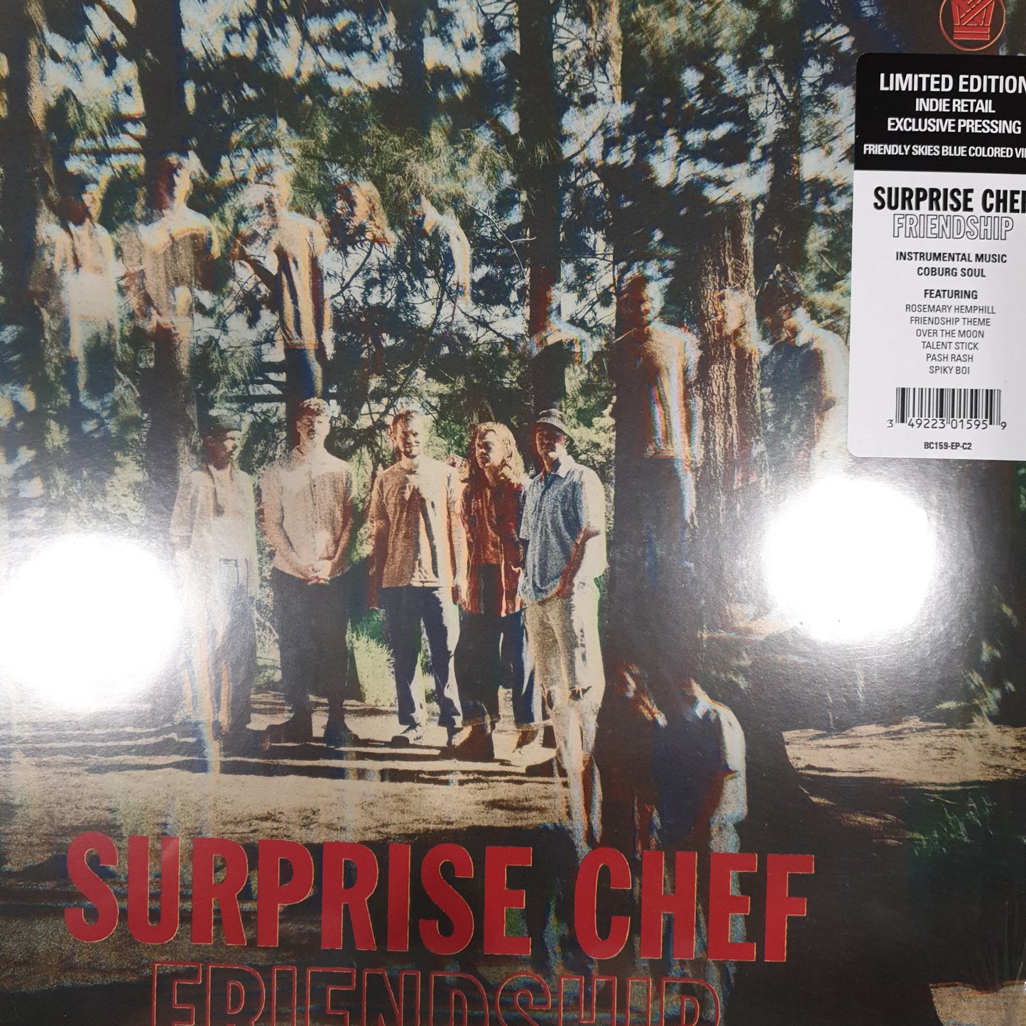 SURPRISE CHEF - FRIENDSHIP VINYL