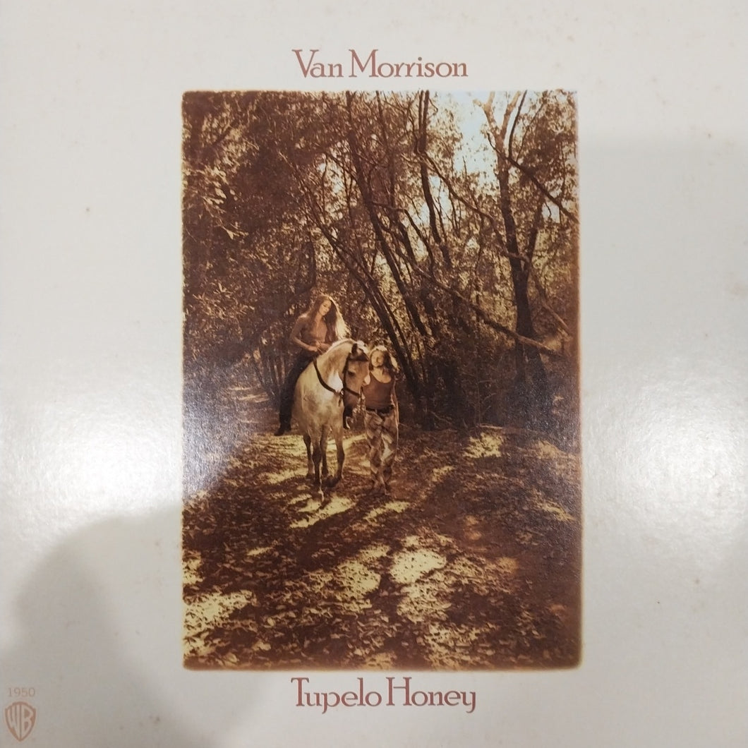 VAN MORRISON - TUPELO HONEY (USED VINYL 1975 U.S. EX+ EX)