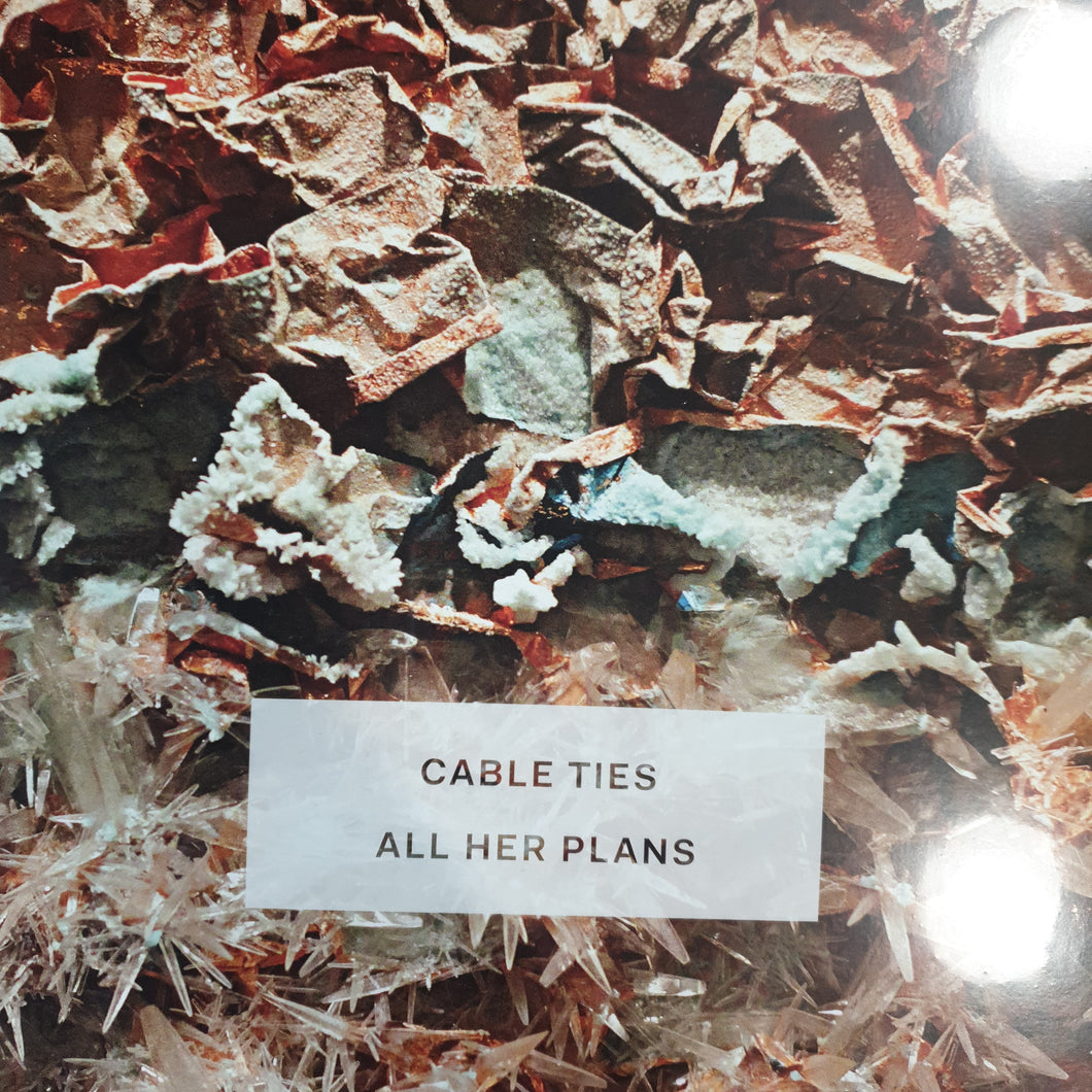 CABLE TIES - ALL HER PLANS (WHITE COLOURED) VINYL
