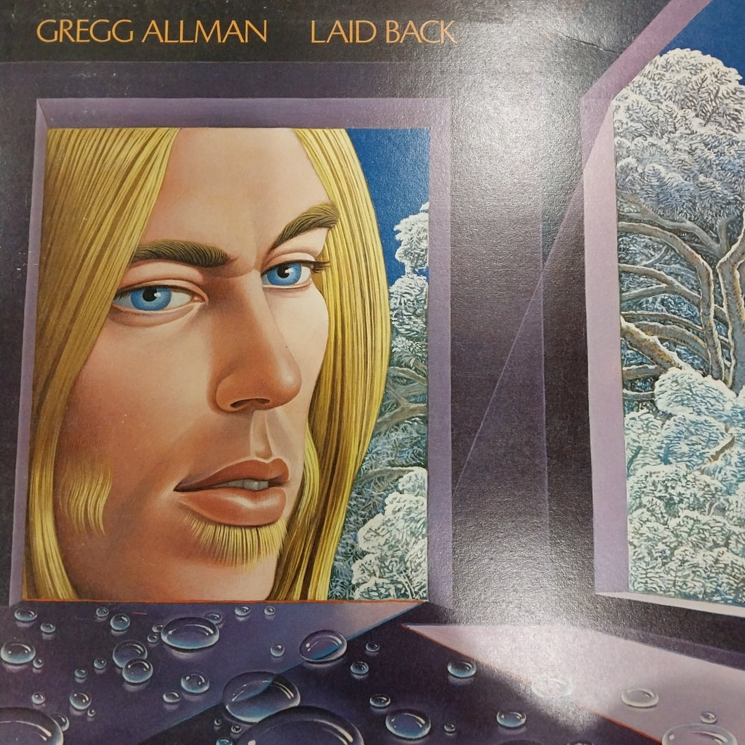 GREGG ALLMAN - LAID BACK (USED VINYL 1973 U.K. M- EX)