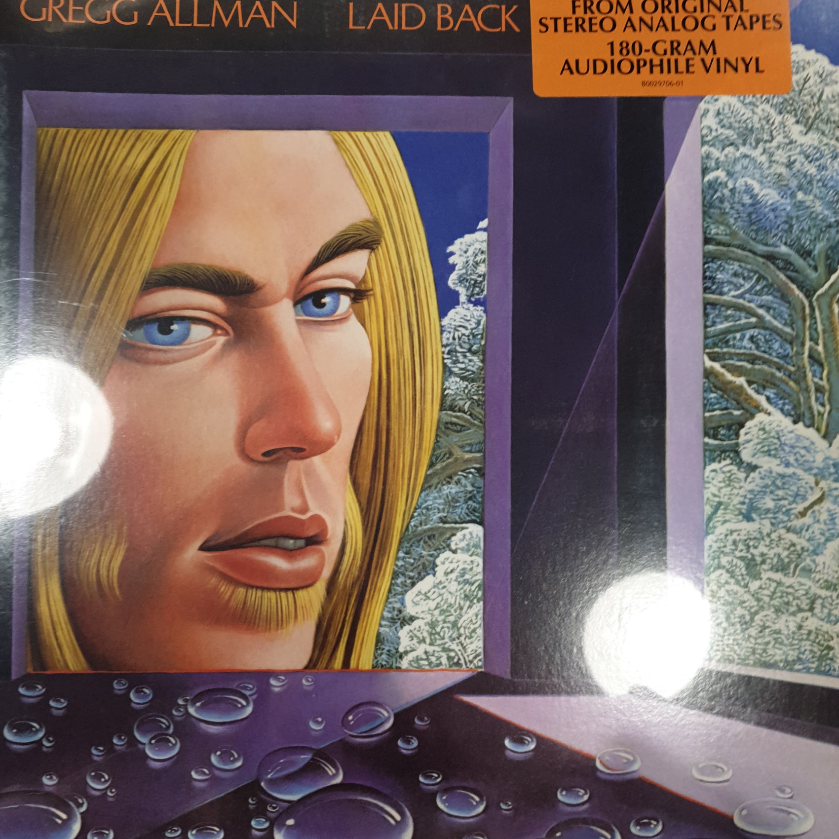 GREGG ALLMAN - LAID BACK VINYL
