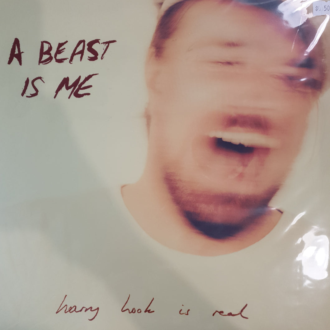 HARRY HOOK - A BEAST IS ME VINYL