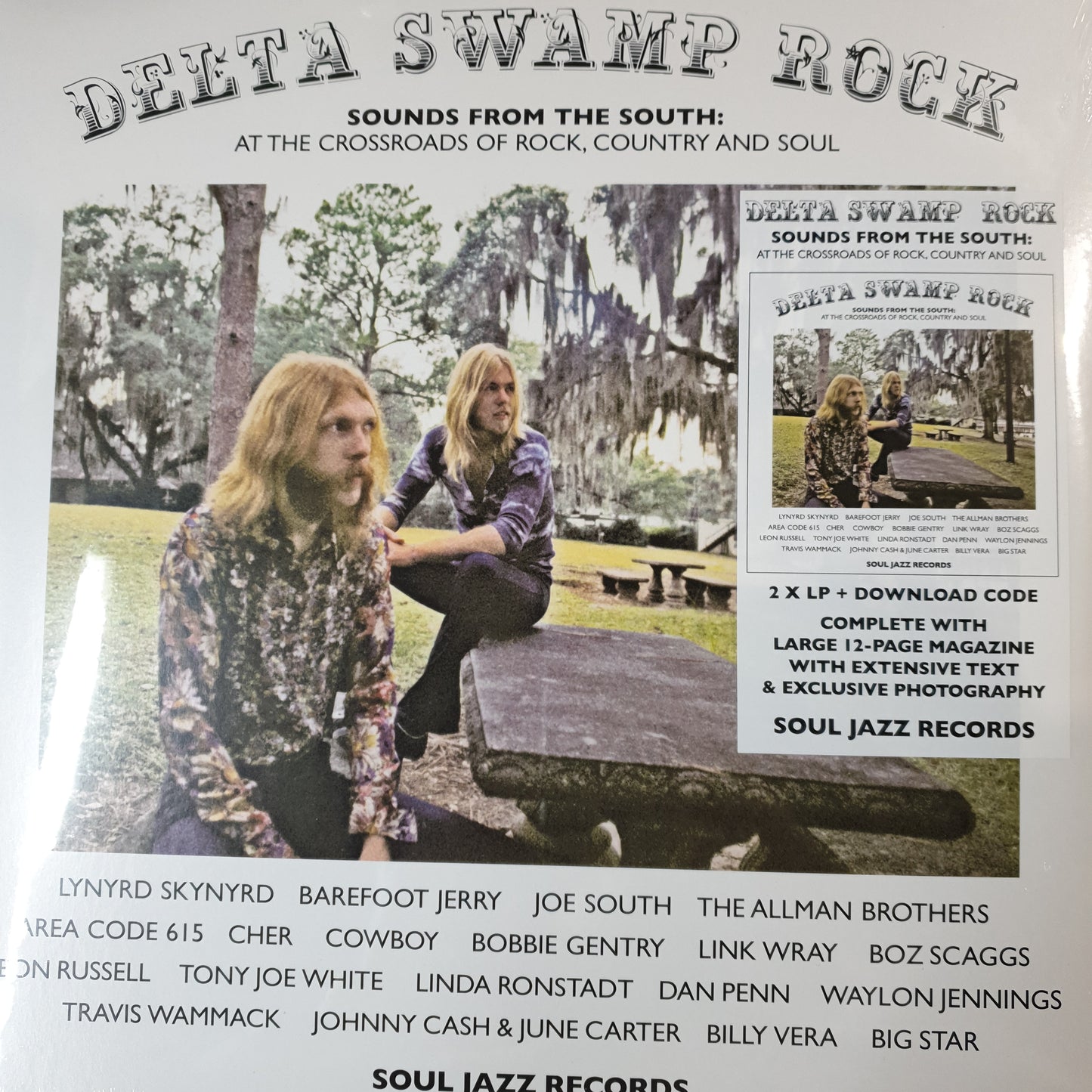 VARIOUS - DELTA SWAMP ROCK (2LP) VINYL