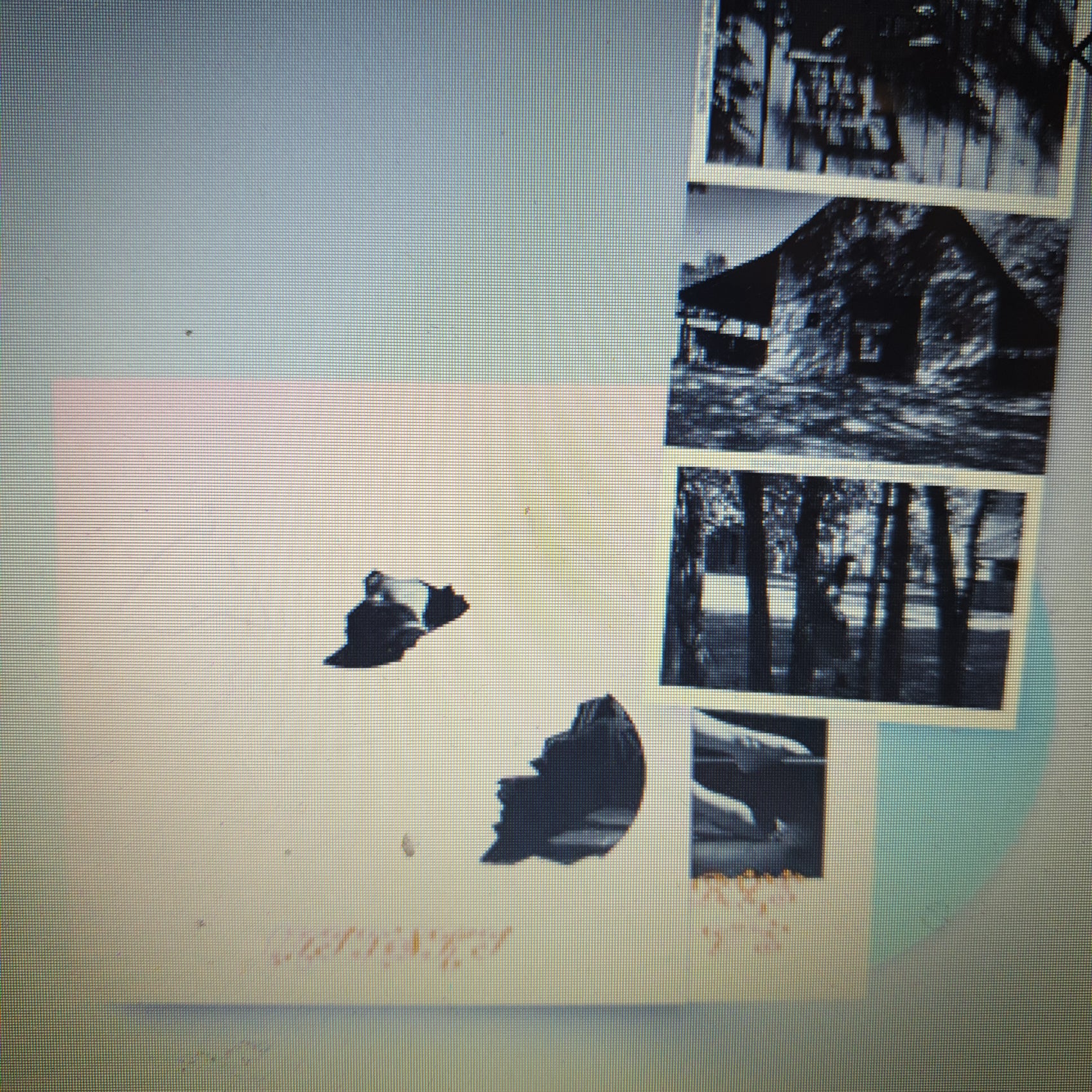 MITSKI - THE LAND IS INHOSPITABLE AND SO ARE WE (ROBIN EGG BLUE WITH PINK DIE-CUT SLIPCASE AND POSTCARD) VINYL