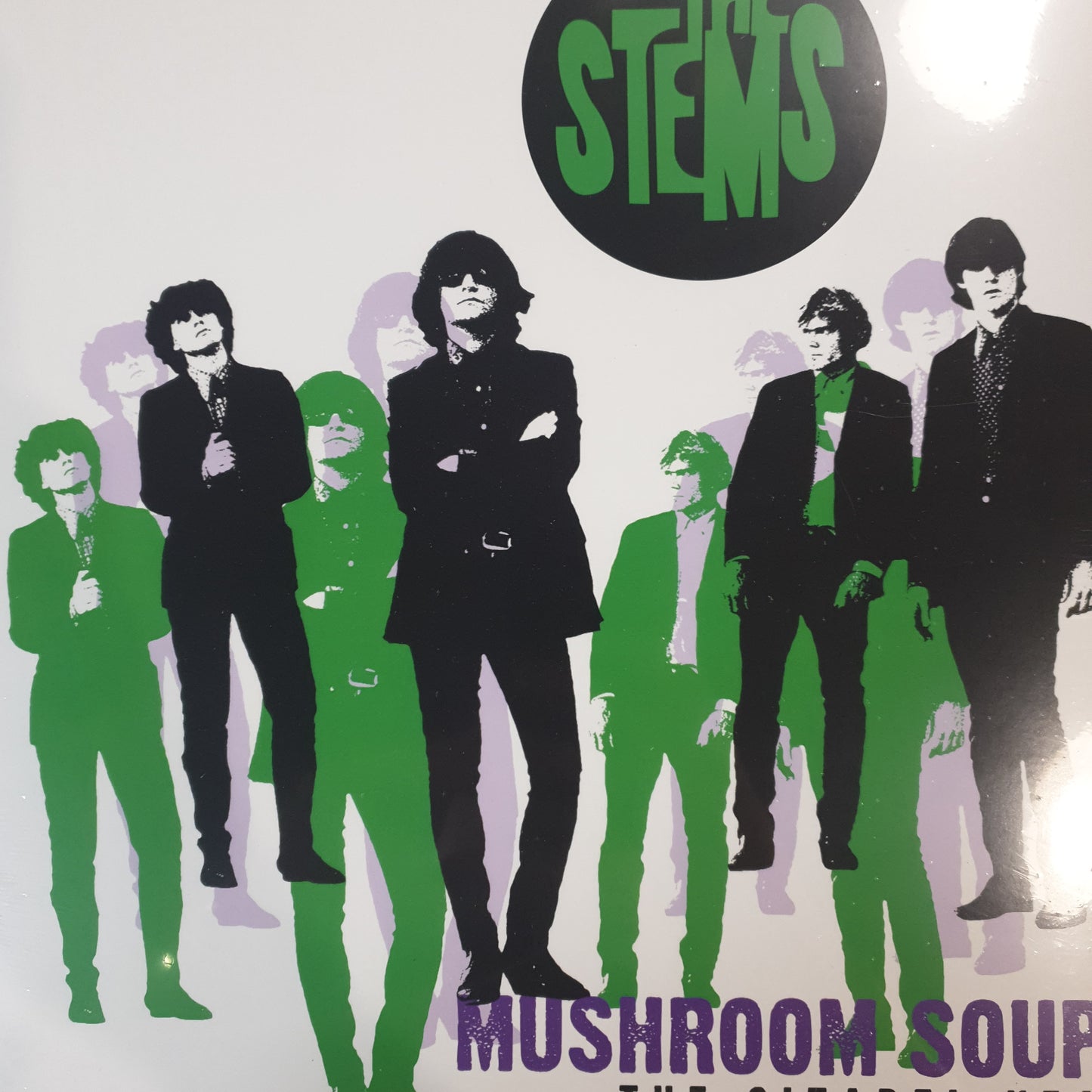 STEMS - MUSHROOM SOUP VINYL