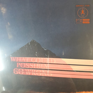 DOMINIC FIKE - WHAT COULD POSSIBLY GO WRONG VINYL
