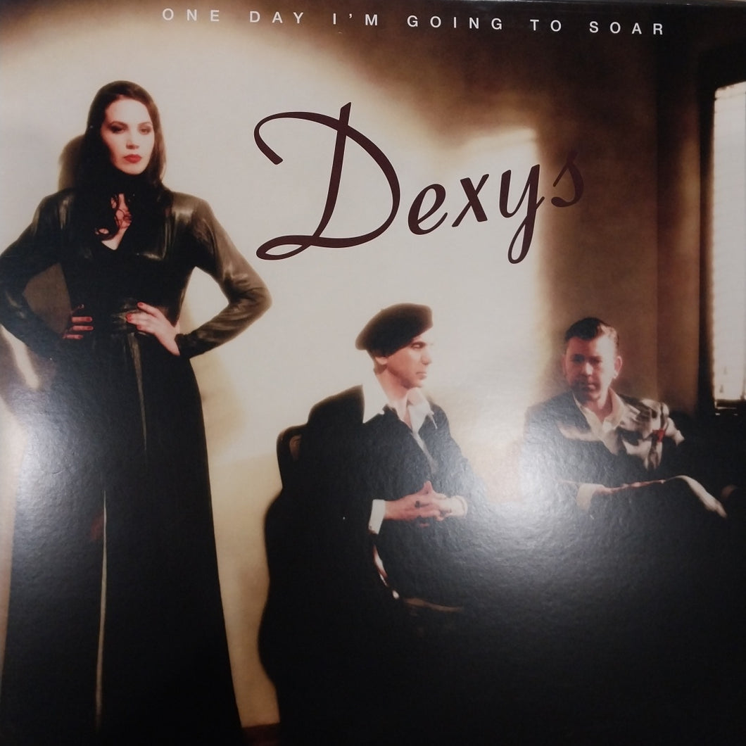 DEXYS - ONE DAY IM GOING TO SOAR (USED VINYL 2022 DUTCH GOLD M- M-)