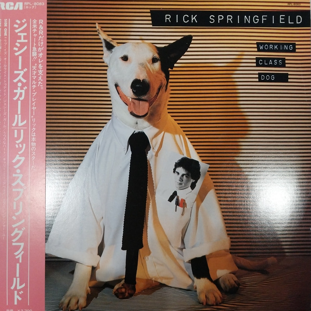 RICK SPRINGFIELD - WORKING CLASS DOG (USED VINYL 1980 JAPAN M- EX+)