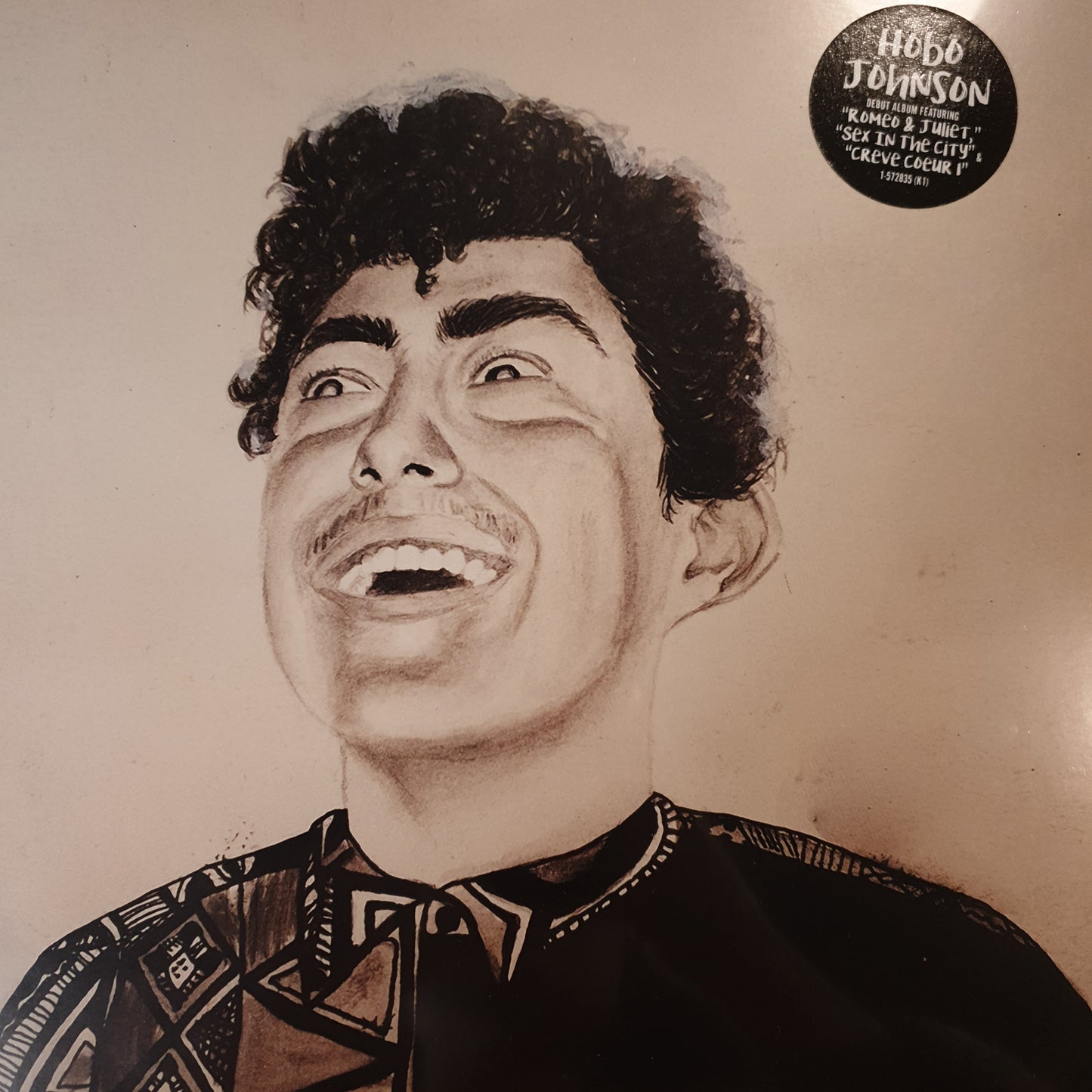 HOBO JOHNSON - THE RISE OF HOBO JOHNSON VINYL