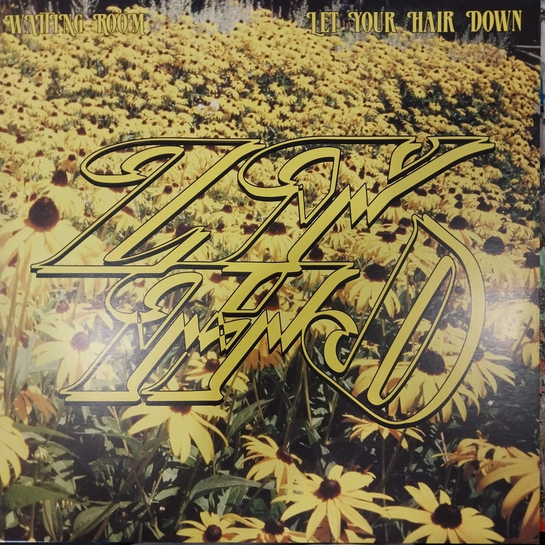 WAITING ROOM - LET YOUR HAIR DOWN (USED VINYL 2021 AUS M- M-)