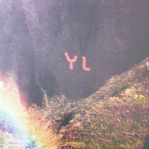 YOUTH LAGOON - THE YEAR OF HIBINATION (BLUE COLOURED) (USED VINYL 2015 US M-/M-)