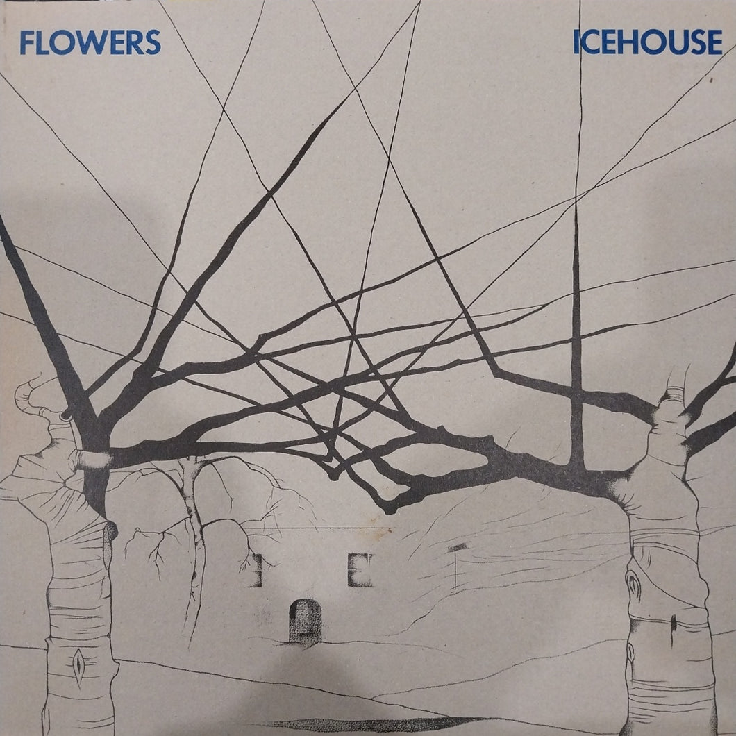 ICEHOUSE - FLOWERS (USED VINYL 1980 AUS M-/EX+)