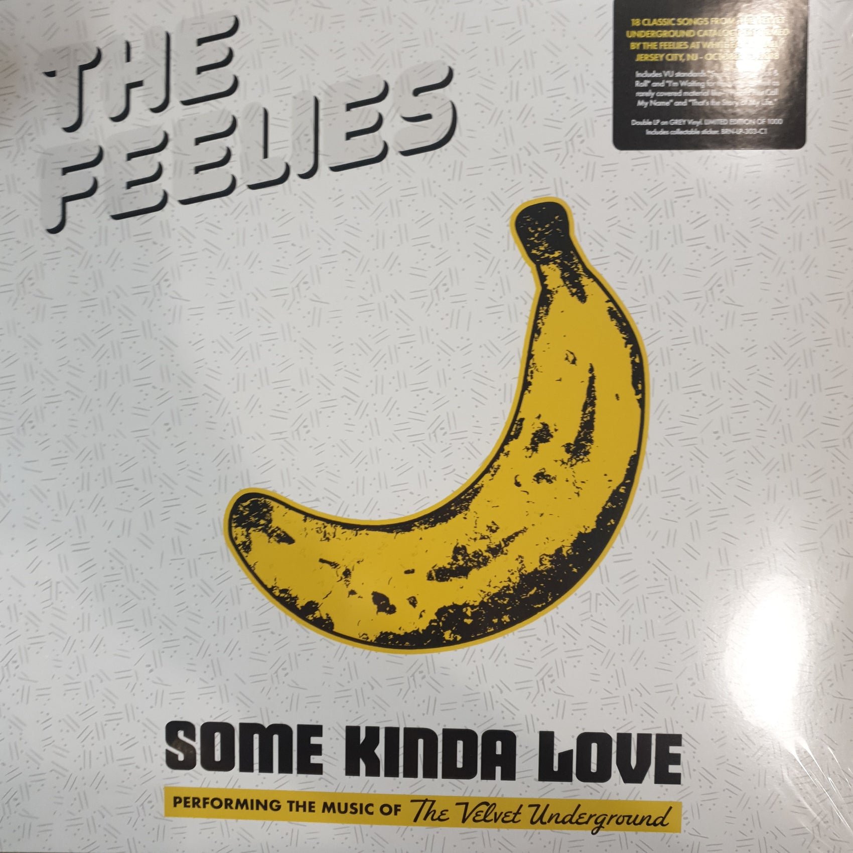 FEELIES - SOME KINDA LOVE (2LP) VINYL