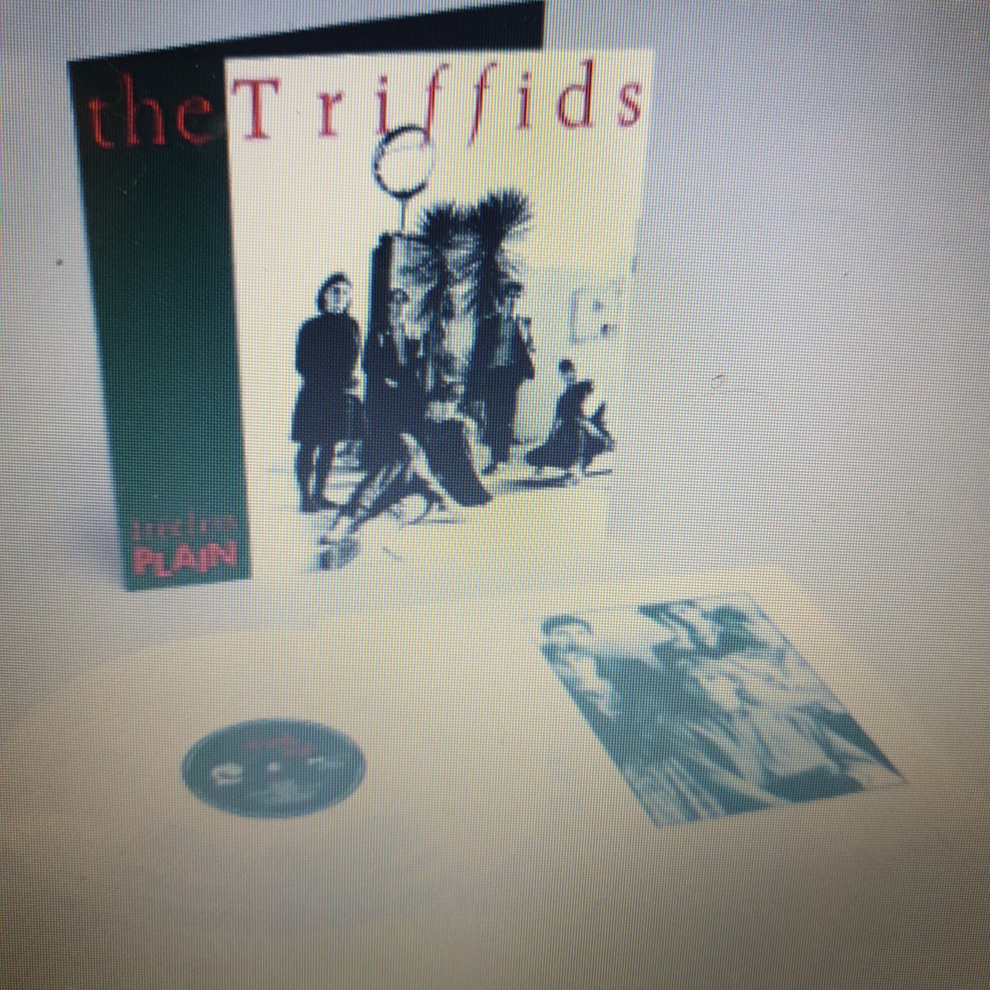 TRIFFIDS - TREELESS PLAIN (40TH ANNIVERSARY) (WHITE COLOURED) VINYL