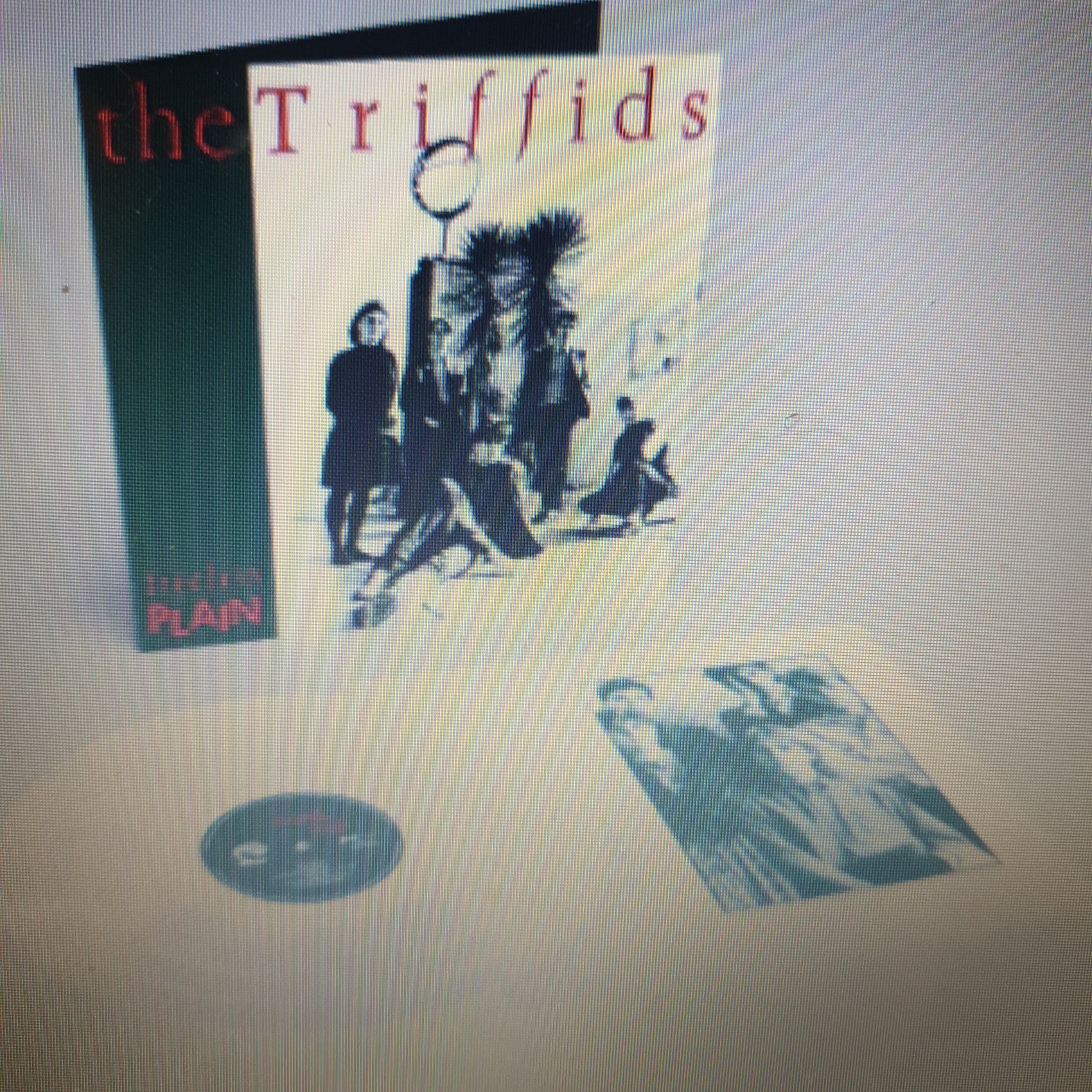 TRIFFIDS - TREELESS PLAIN (40TH ANNIVERSARY) (WHITE COLOURED) VINYL