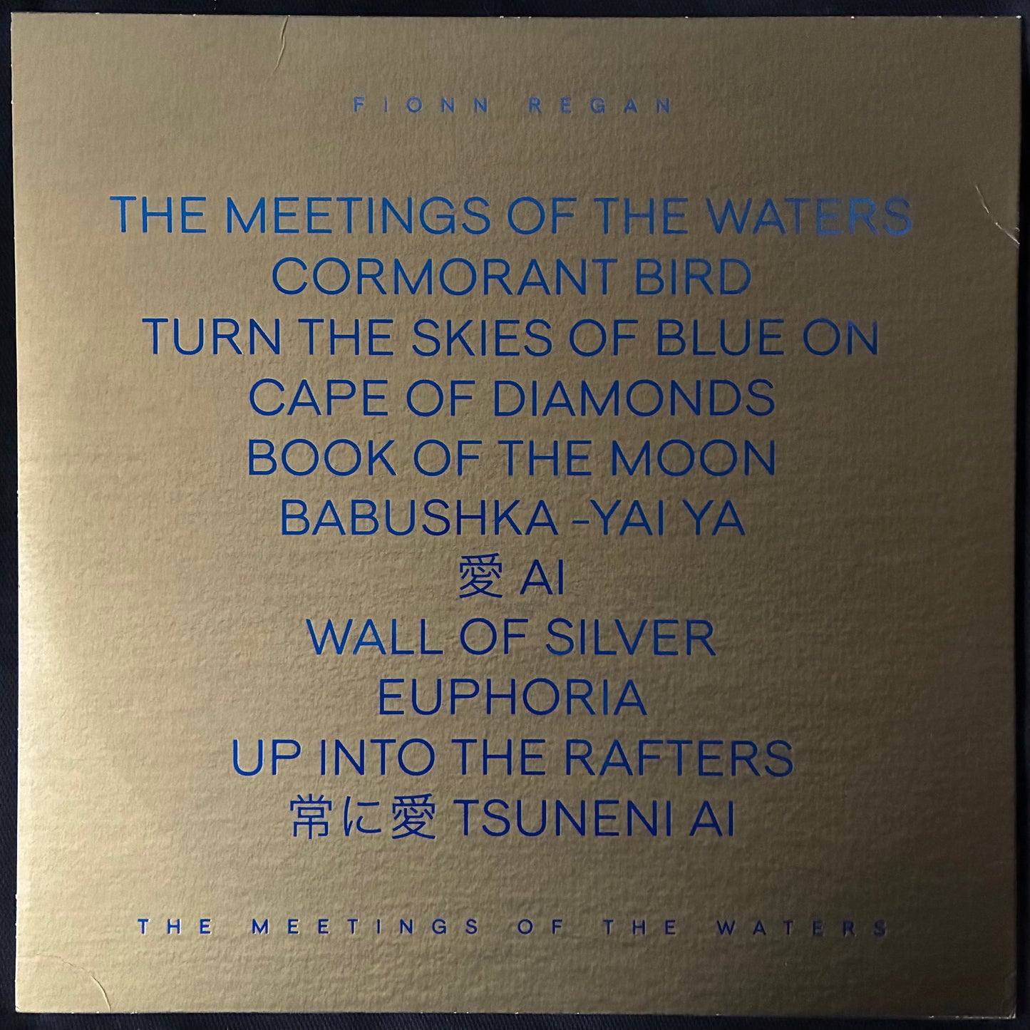 FIONN REGAN - THE MEETINGS OF THE WATERS (USED VINYL 2017 M-/EX+)