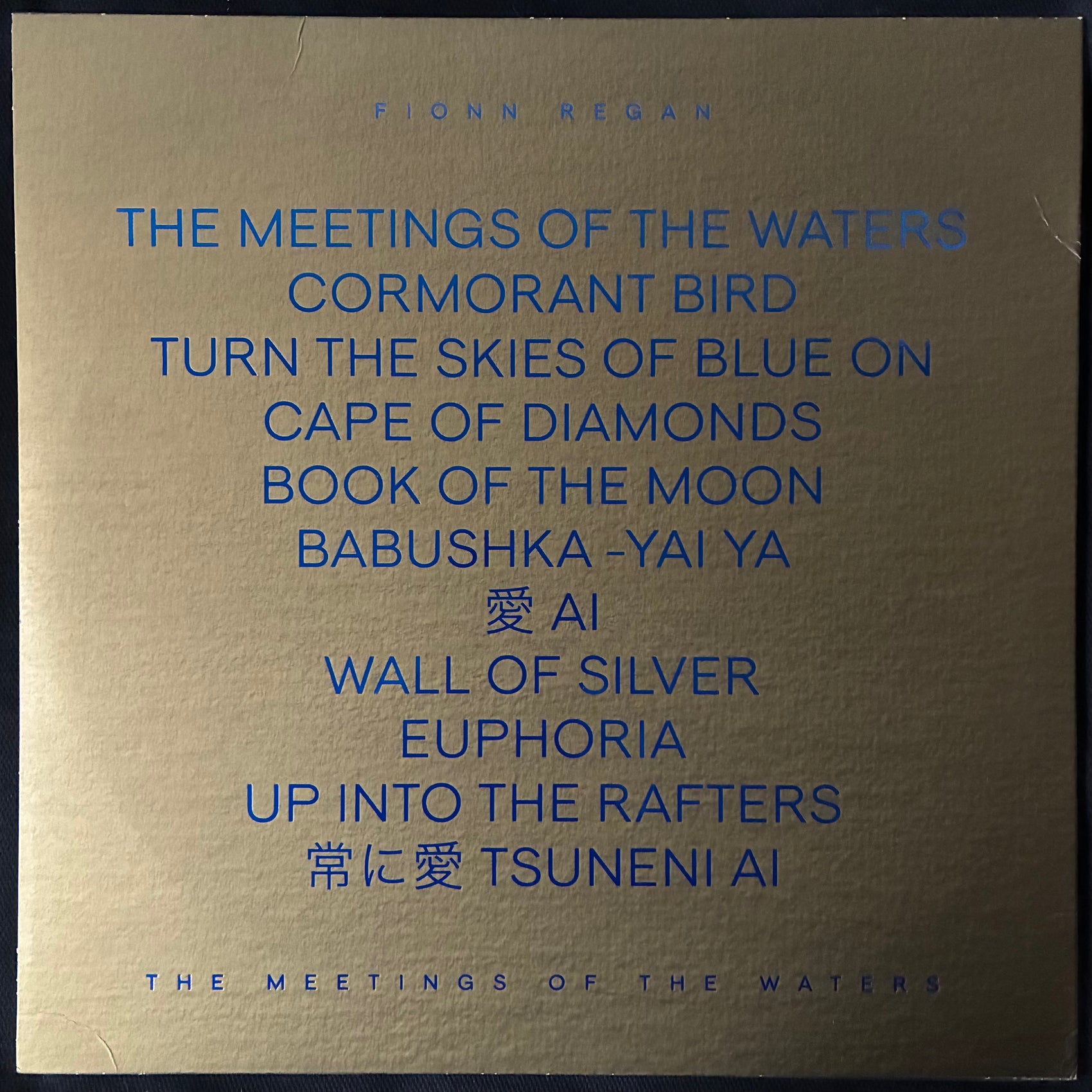 FIONN REGAN - THE MEETINGS OF THE WATERS (USED VINYL 2017 M-/EX+)