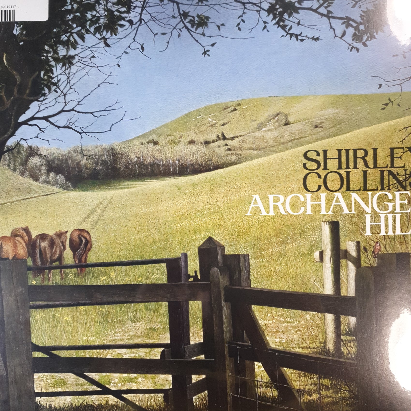 SHIRLEY COLLINS - ARCHANGEL HILL VINYL
