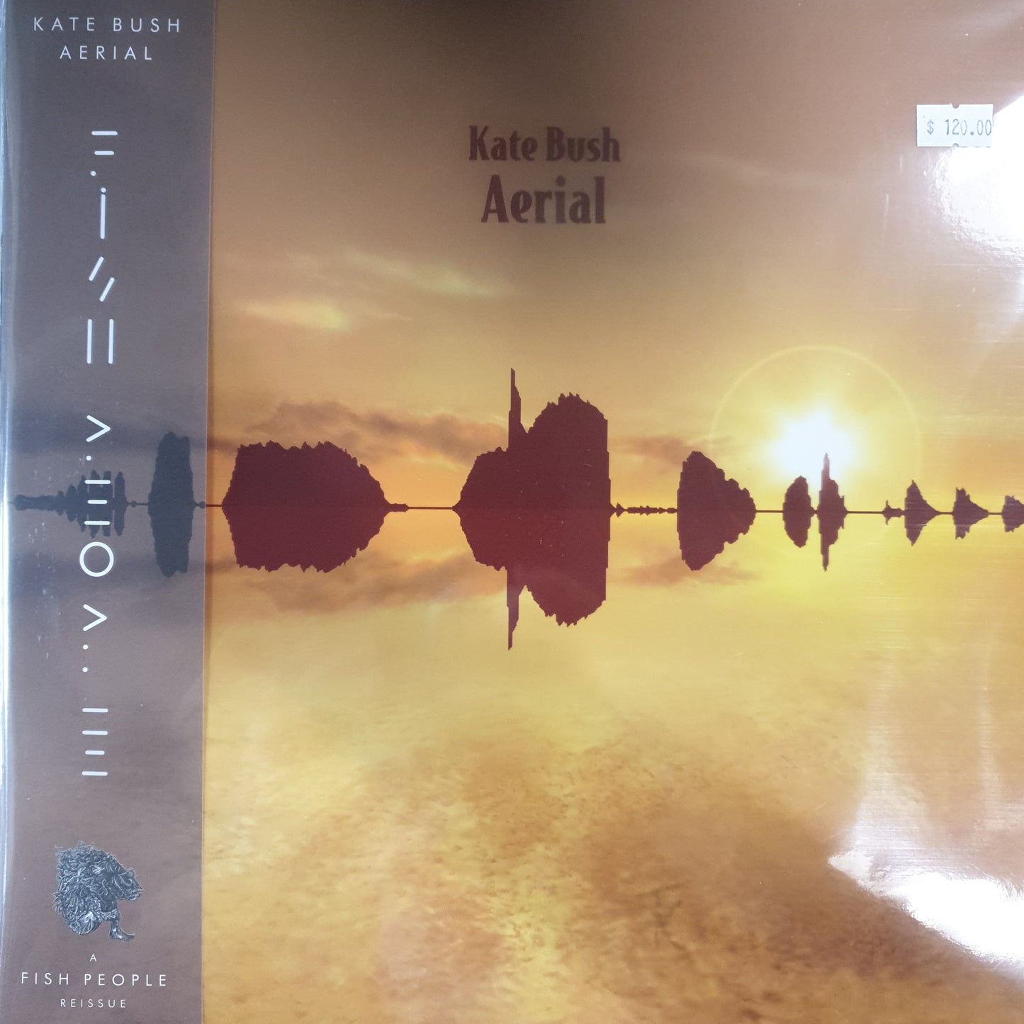 KATE BUSH - AERIAL (2LP) (GOLDY LOCKS COLOURED) VINYL
