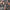 BIG THIEF - TWO HANDS (USED VINYL 2019 U.K./U.S. COLOURED FIRST PRESSING M- M-)