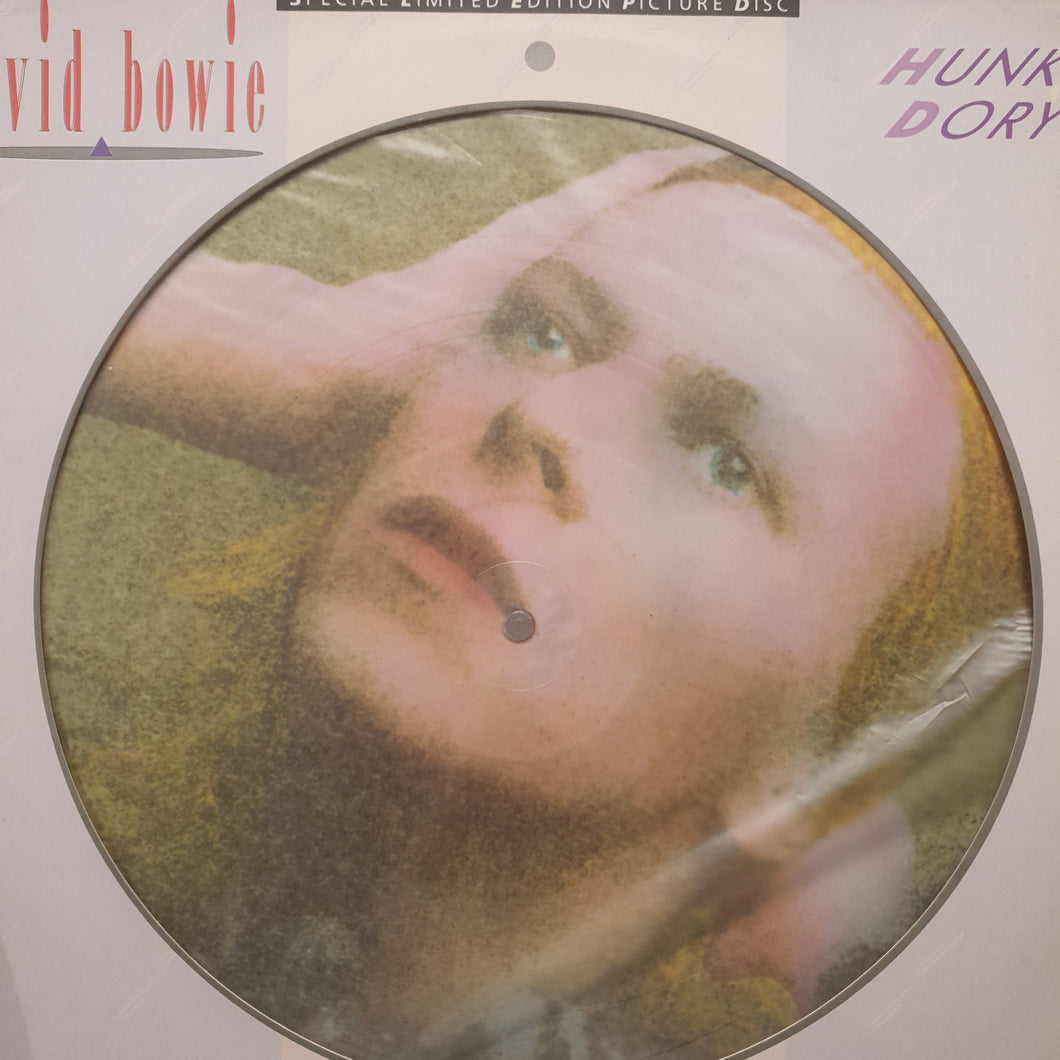 DAVID BOWIE - HUNKY DORY (PIC DISC) (USED VINYL 1984 UK M-/EX+)