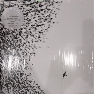 WILCO - SKY BLUE SKY (USED VINYL 2020 U.S. 2LP M- M-)