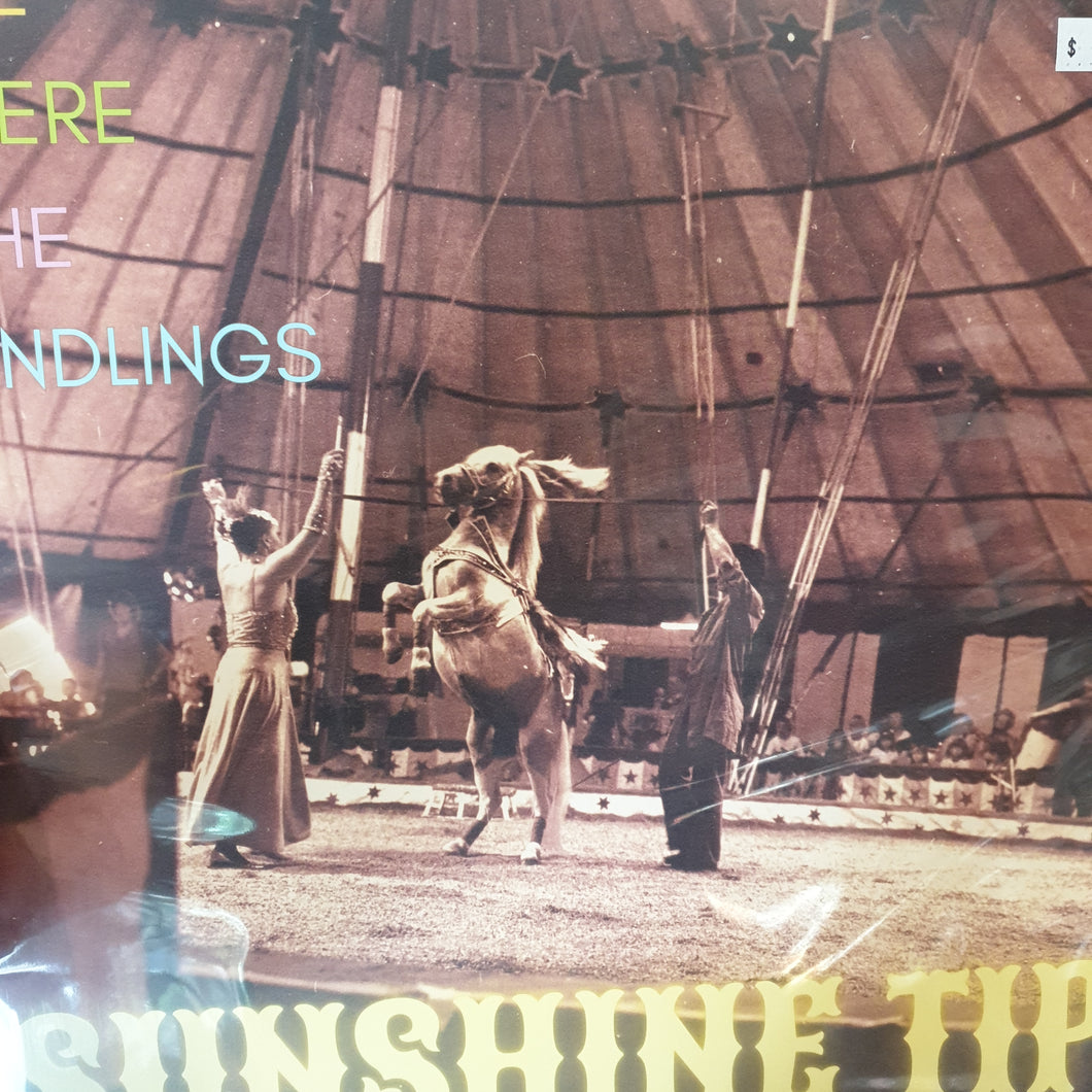 SUNSHINE TIP - WE WERE THE ENDLINGS (EP) VINYL