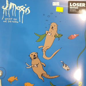 J MASCIS - WHAT DO WE DO NOW (LOSER FIRST PRESSING COLOURED)  VINYL